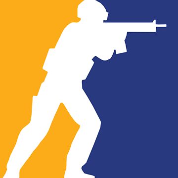 CS2 SKIN
